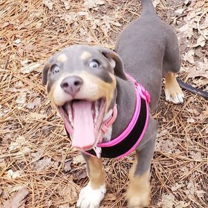 Meet your Posher, Steph